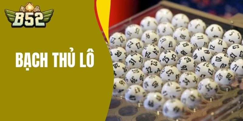 bạch thủ lô
